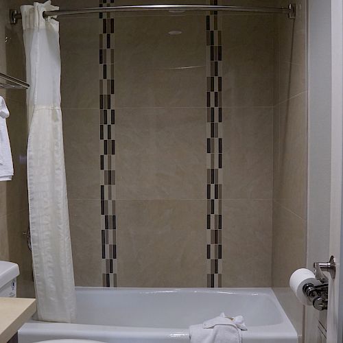 The image shows a bathroom with a bathtub, shower curtain, towel racks with folded towels, a toilet, a counter with tissues, and a glass door.