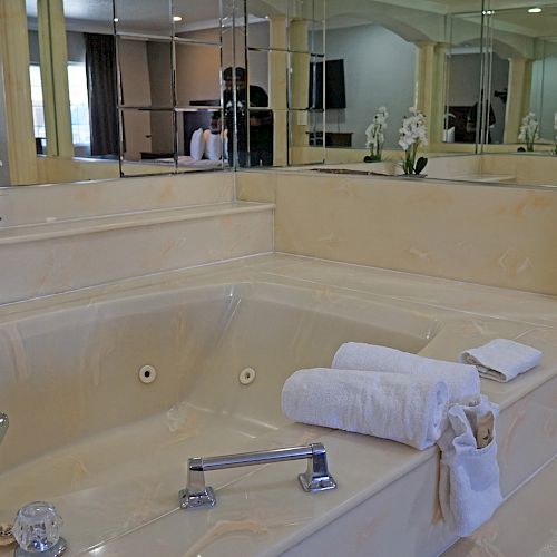 The image shows a luxurious bathroom with a large jacuzzi, mirrors, a plant, towels, and elegant design, including steps leading up to the tub.